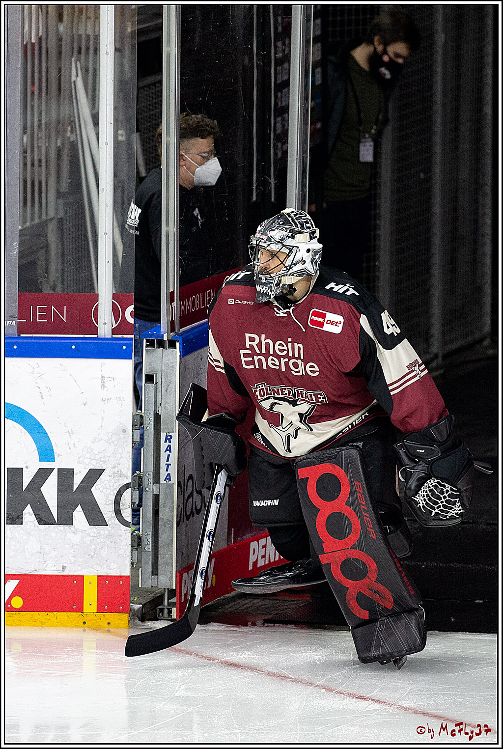 PENNY DEL;  Koelner Haie - Duesseldorfer EG ; Koeln, 17.12.2020
